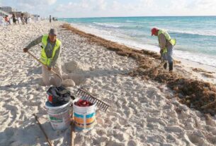 Sargazo amenaza a Quintana Roo